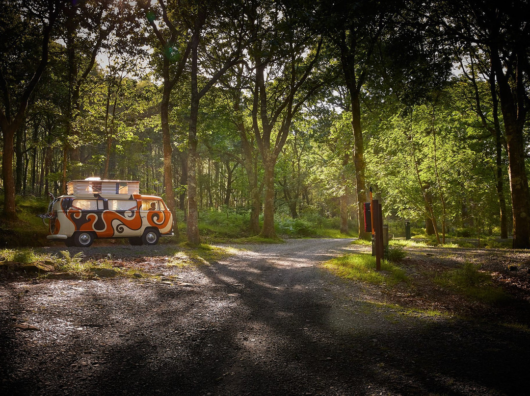 Beddgelert Campsite