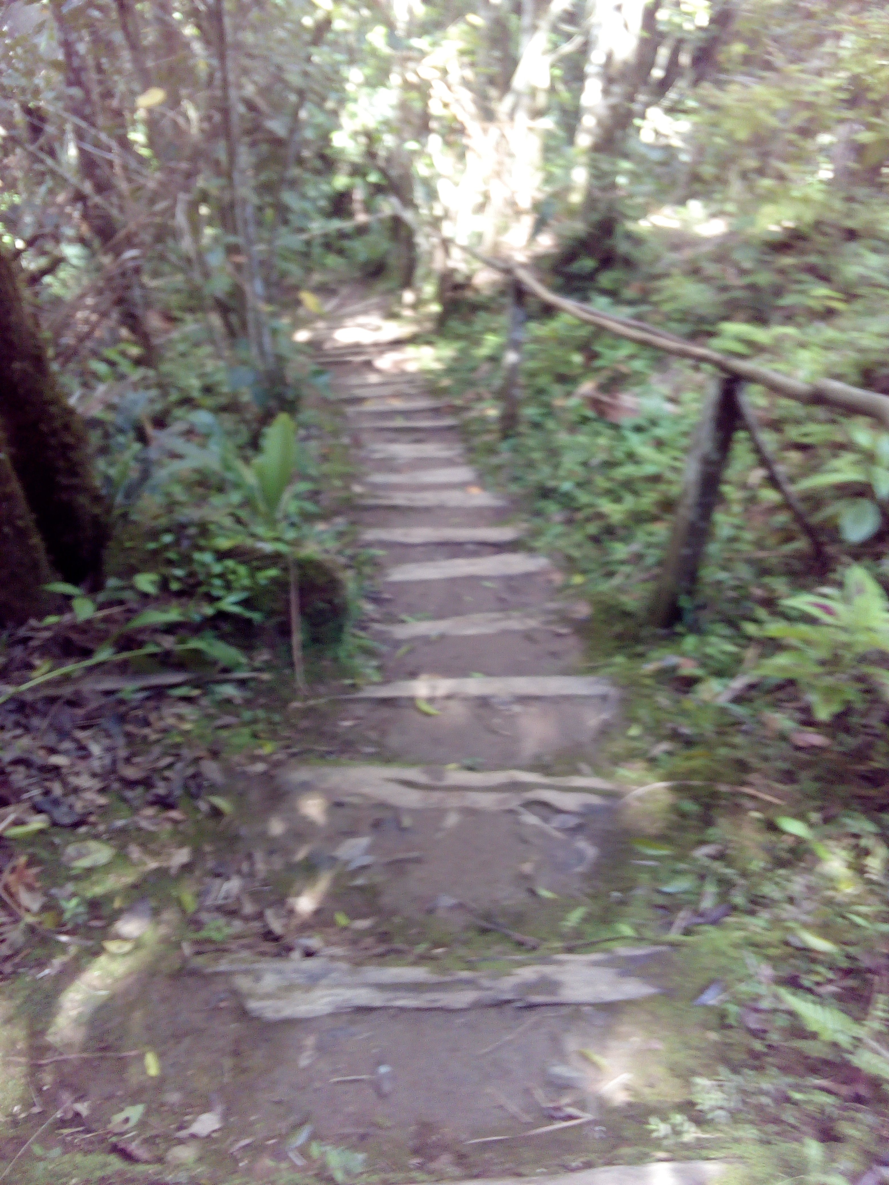 Casa Sierra Maestra-portrait