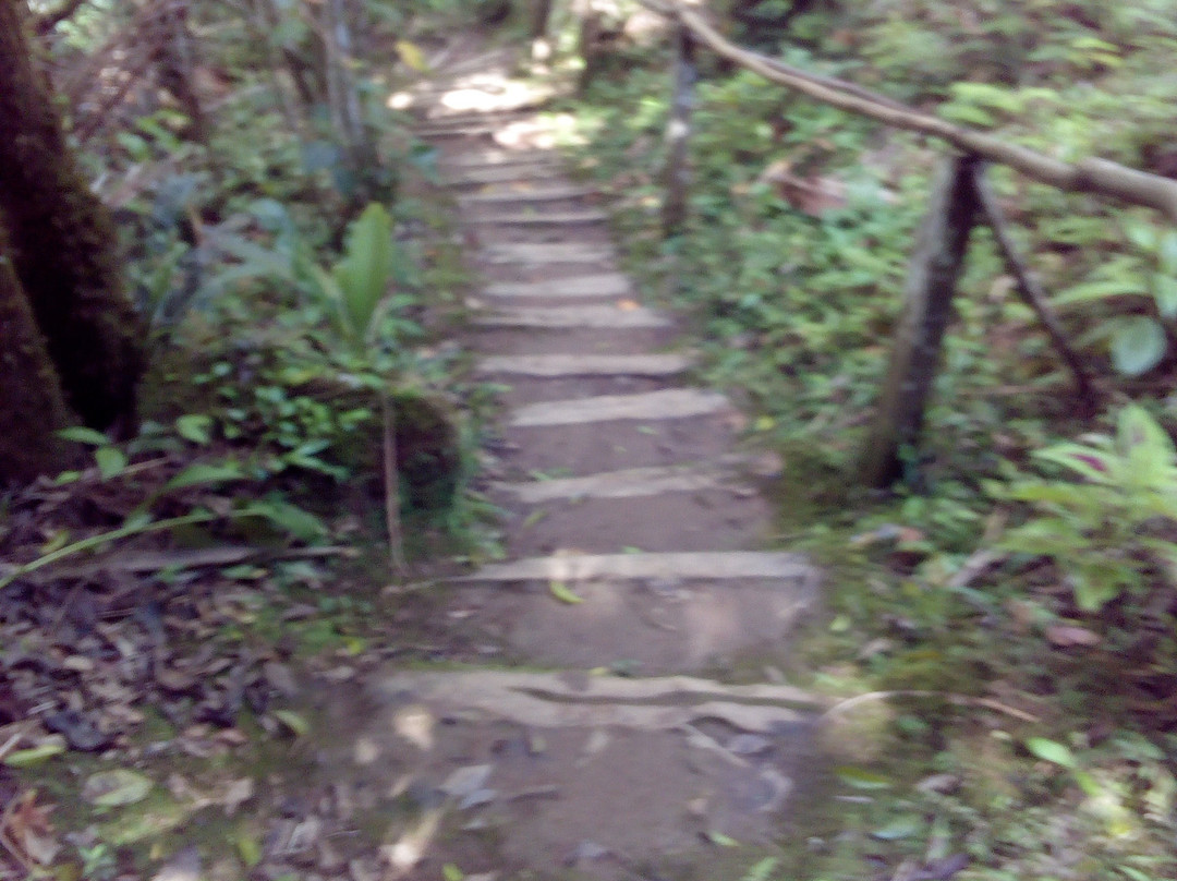 Casa Sierra Maestra主图