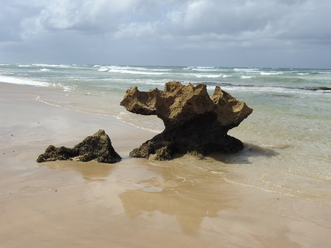 Lappiesbaai Beach-斯特尔拜必去景点