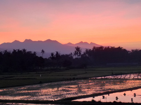 Meninting酒店住宿-Rinjani Vista