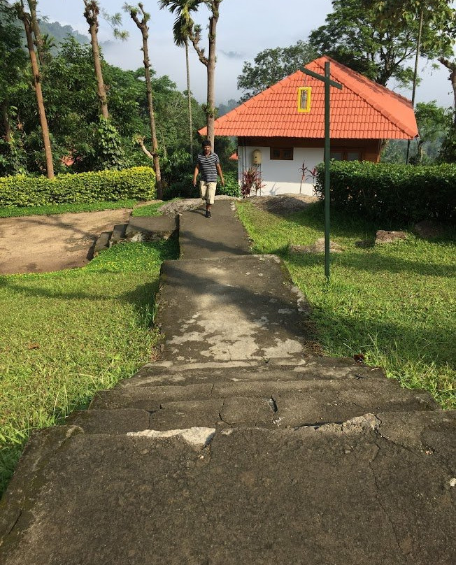 Marmalade Springs主图