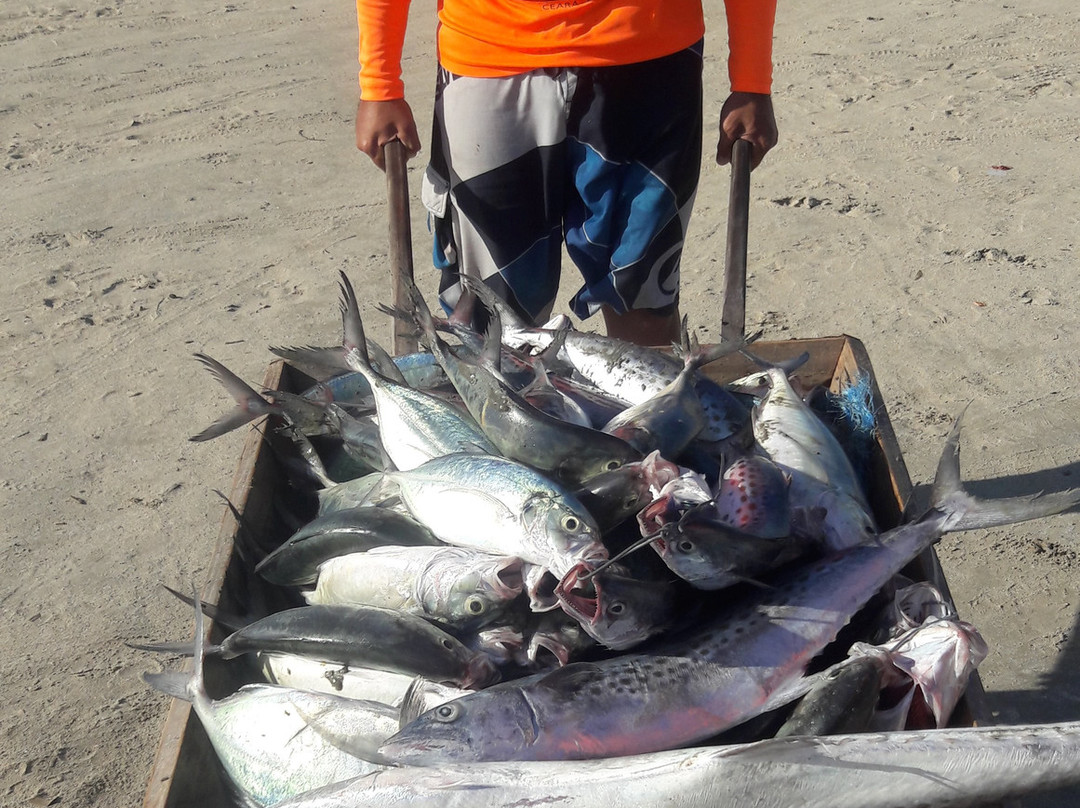 Kite Ceara-Paraipaba必去景点