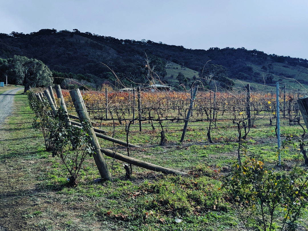 Lake George Winery-Collector必去景点