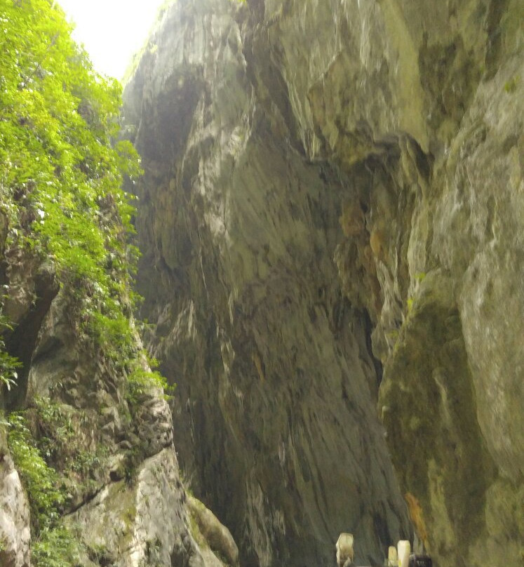 重庆武陵山森林公园景点图片