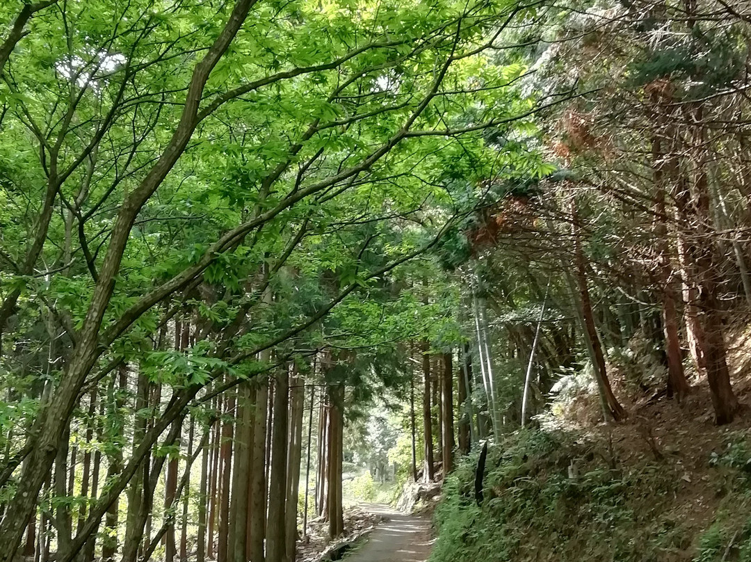 Byodo-ji Temple Kobo no Reisui-阿南市必去景点