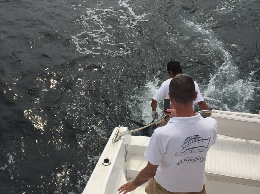 Starboard Yachts-瓦拉塔港必去景点