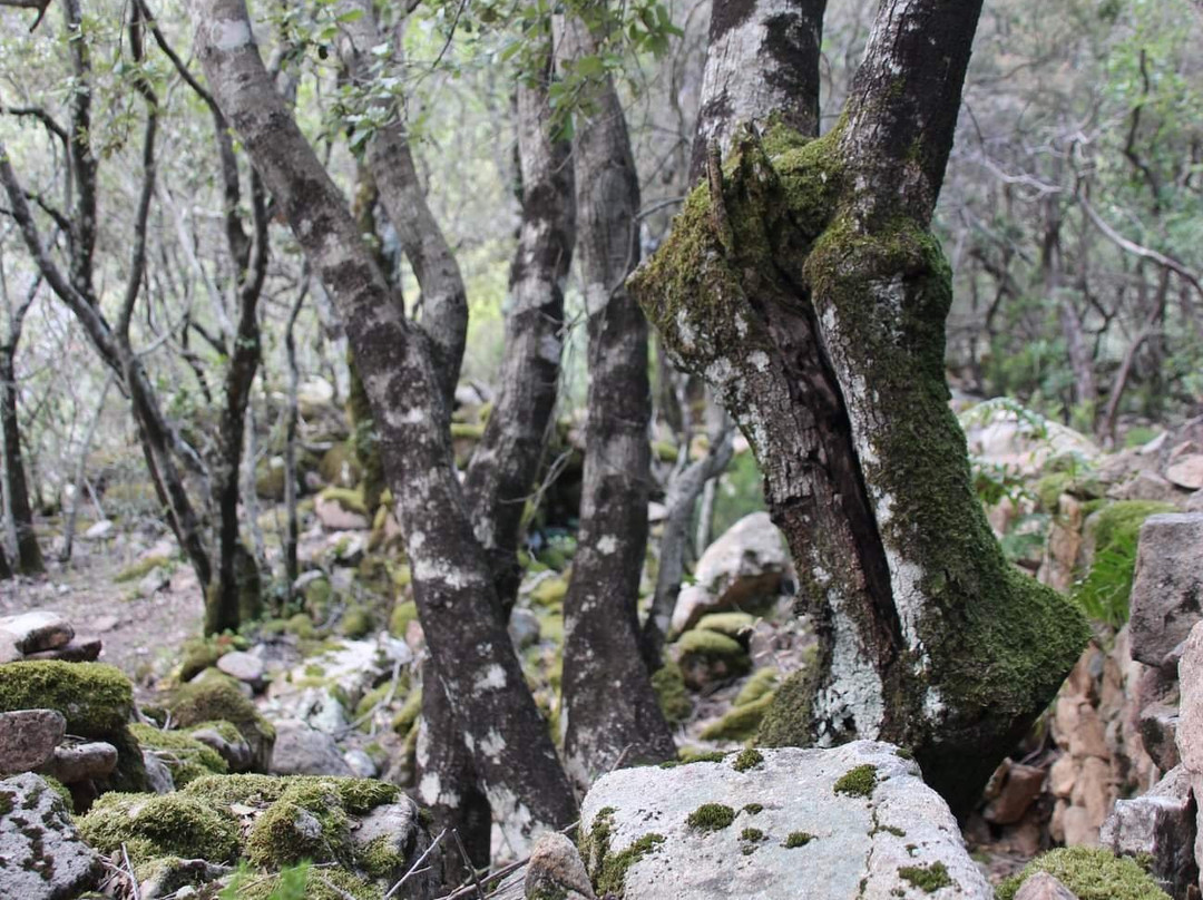 Cascata di Muru Mannu-Gonnosfanadiga必去景点