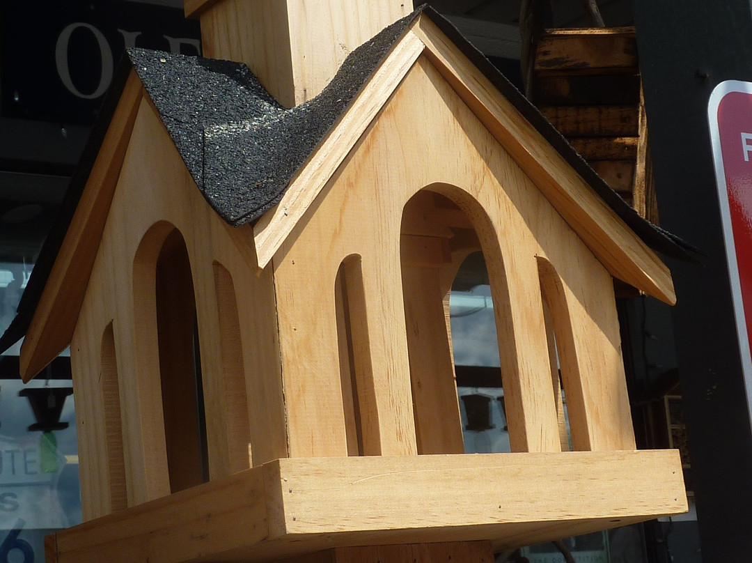 Ole Country Store-皮金福奇必去景点