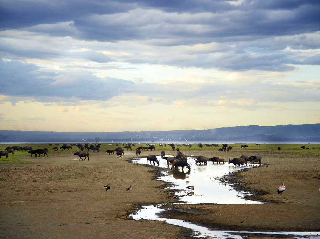 Tanzania Expeditions-阿鲁沙必去景点
