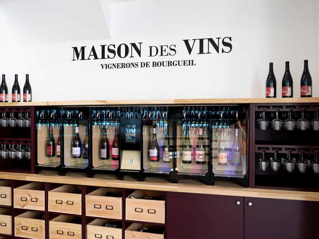 Maison des Vins de Bourgueil景点图片