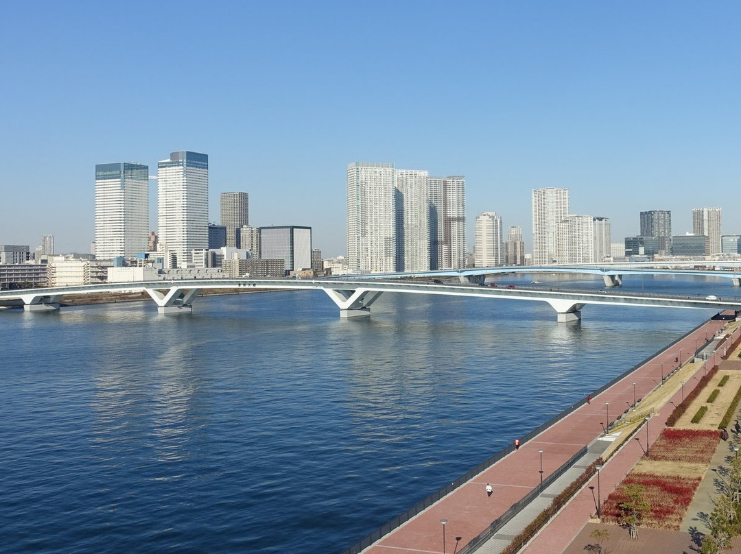 Toyosu Bridge景点图片