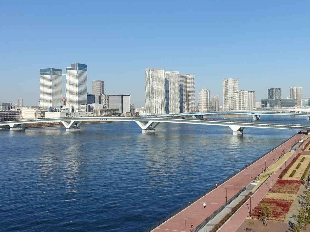 Toyosu Bridge-Toyosu必去景点