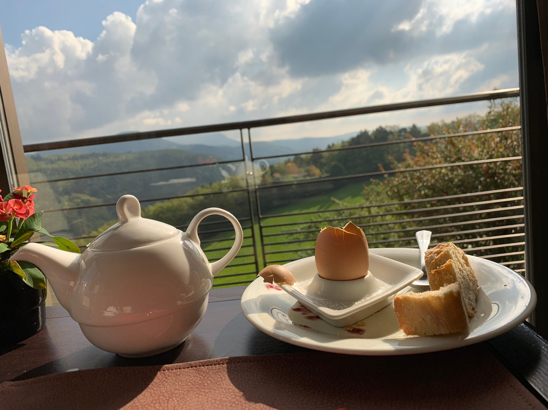 Les Alisiers Hotel-Restaurant主图