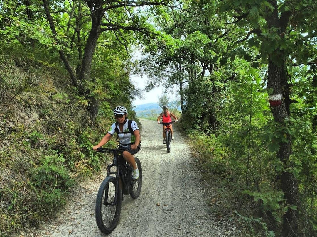 Re-bike景点图片