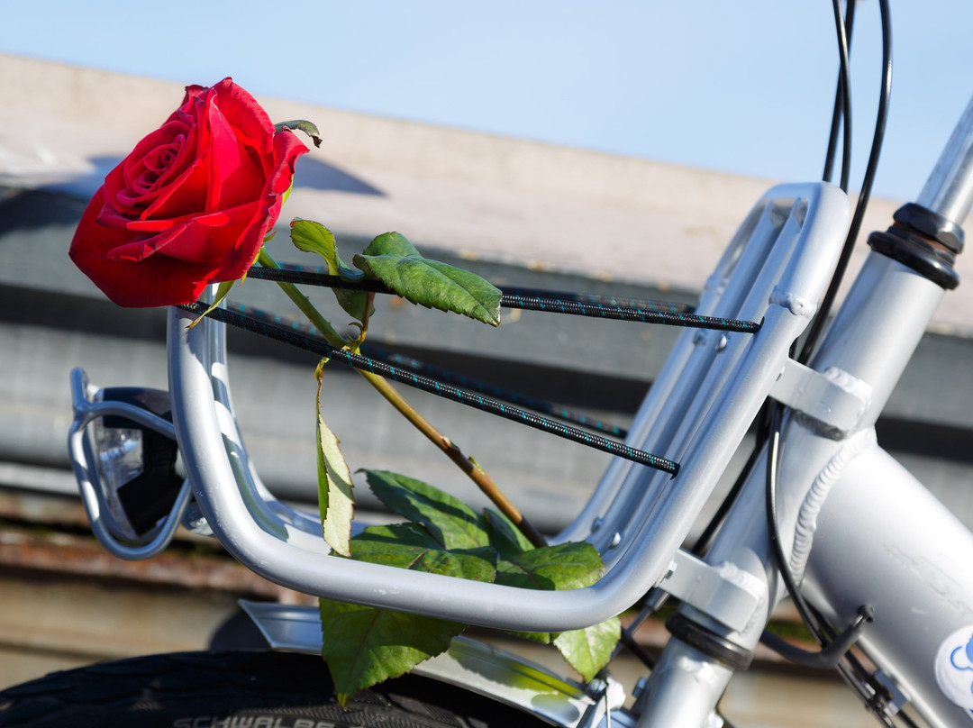 Nextbike Malta景点图片