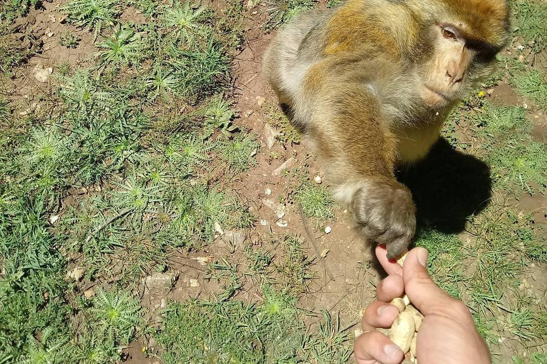 Morocco Via Tours-卡萨布兰卡必去景点