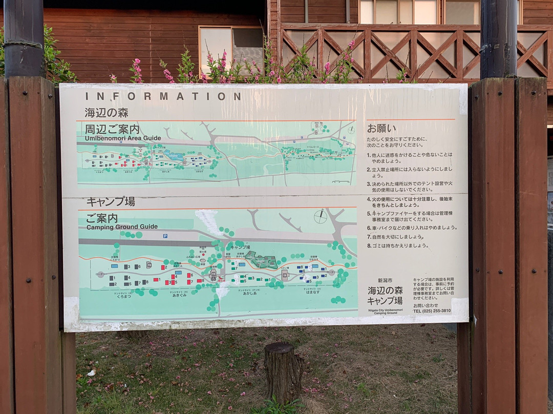 Umibenomori Campsite主图