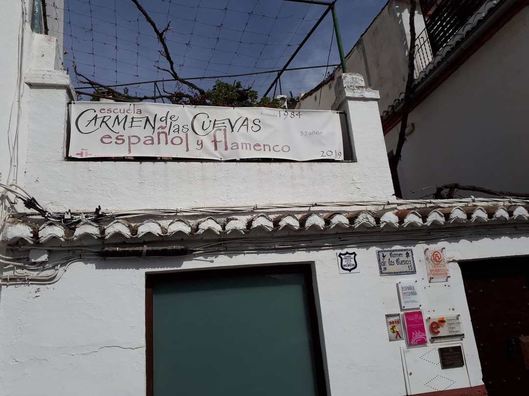 Escuela Carmen de las Cuevas景点图片