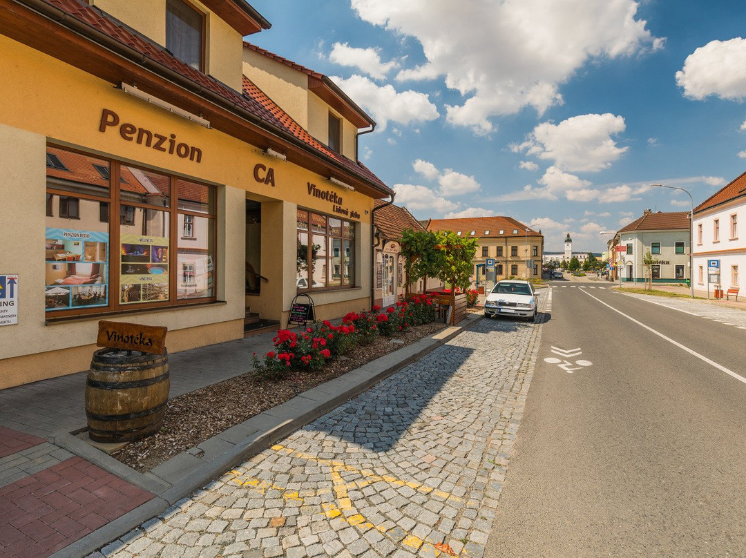 Penzion & Vinný bar Régio主图