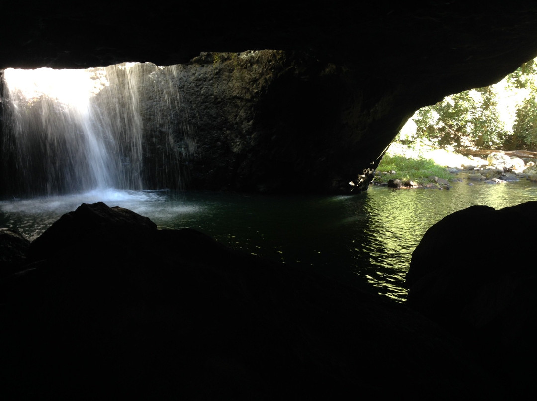 Gold Coast Rainforest Tours & Hikes-冲浪者天堂必去景点