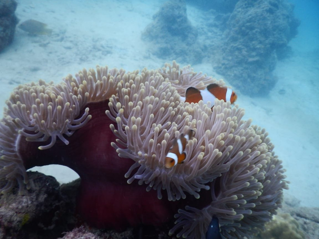 Andaman Aqua Water Sports-哈夫洛克岛必去景点