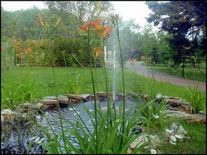 Auberge Alpine Inn主图