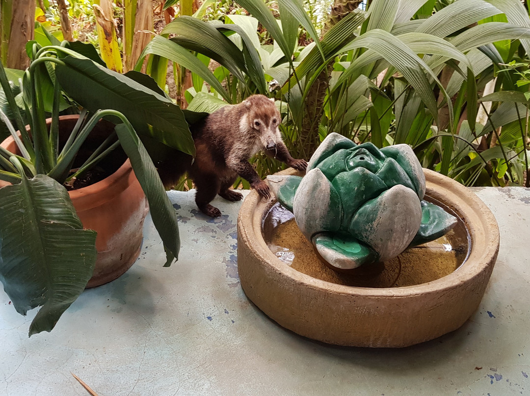 Luna Llena Hotel主图