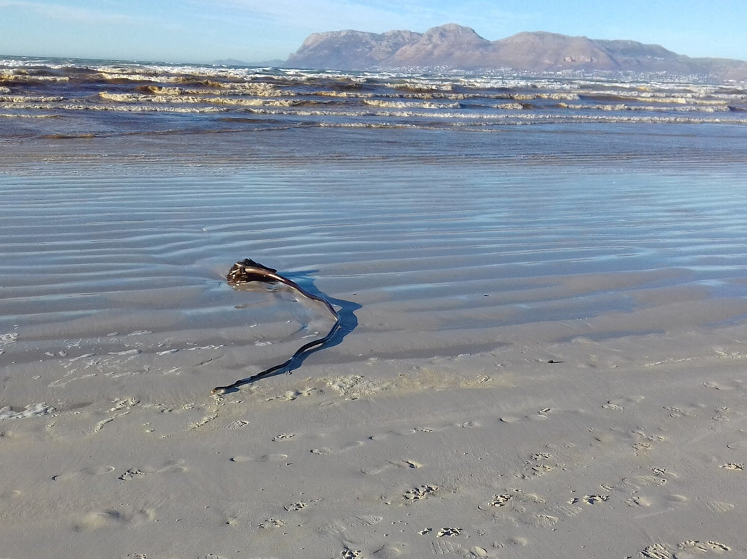 Muizenberg Catwalk-Muizenberg必去景点