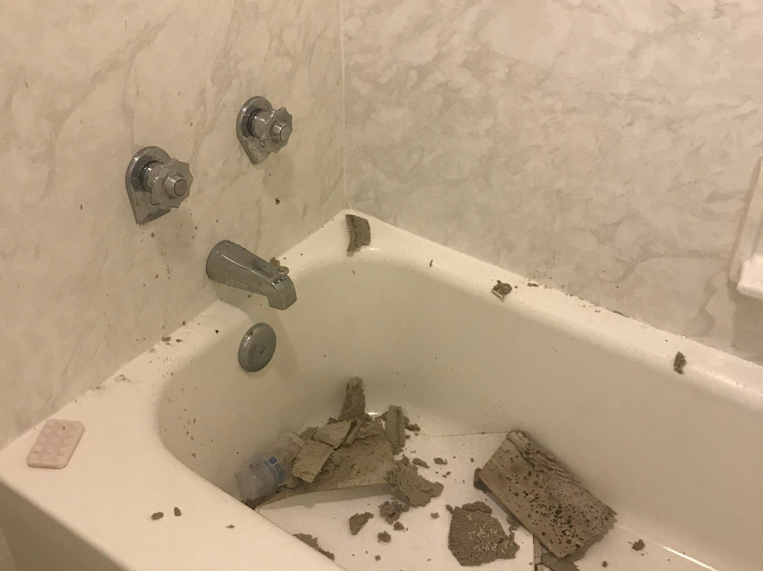 Best Western State Fair Inn主图