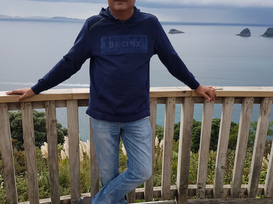 Maxwell Services-奥克兰中心地区必去景点