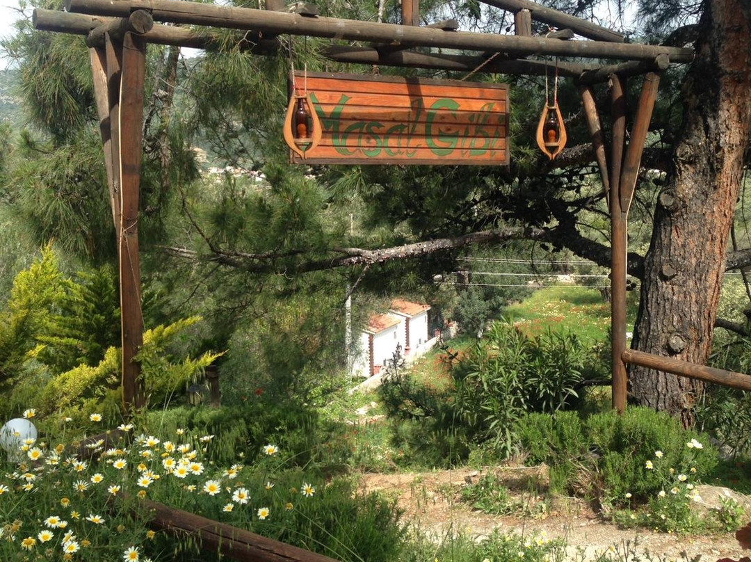 Datca Masal Gibi Plaj&Restaurant主图