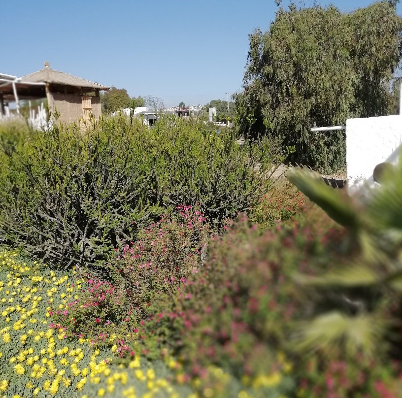 Las Velas Beach Place主图