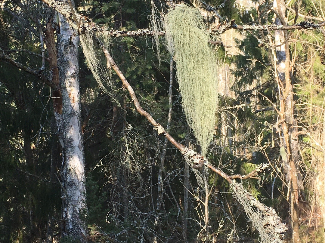 Sormlandsleden-Gnesta必去景点
