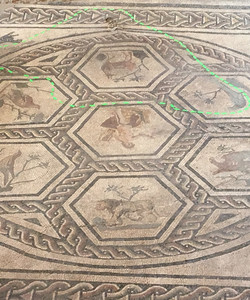 Domus del Chirurgo景点门票图片