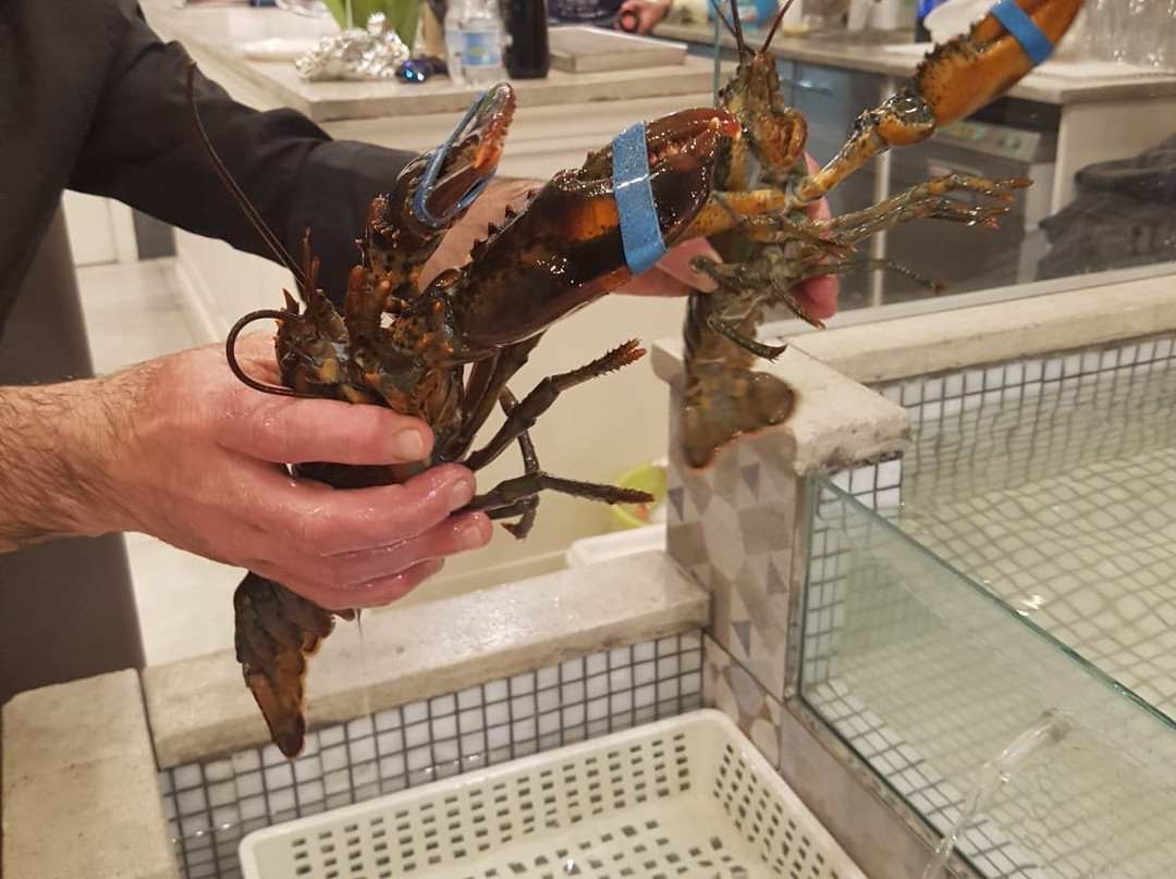 Arzano餐馆和美食-Satya