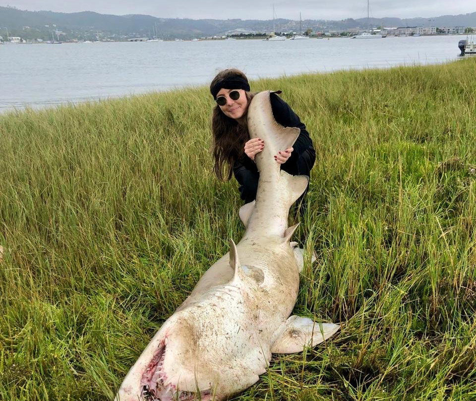 The Water Club-克尼斯纳必去景点