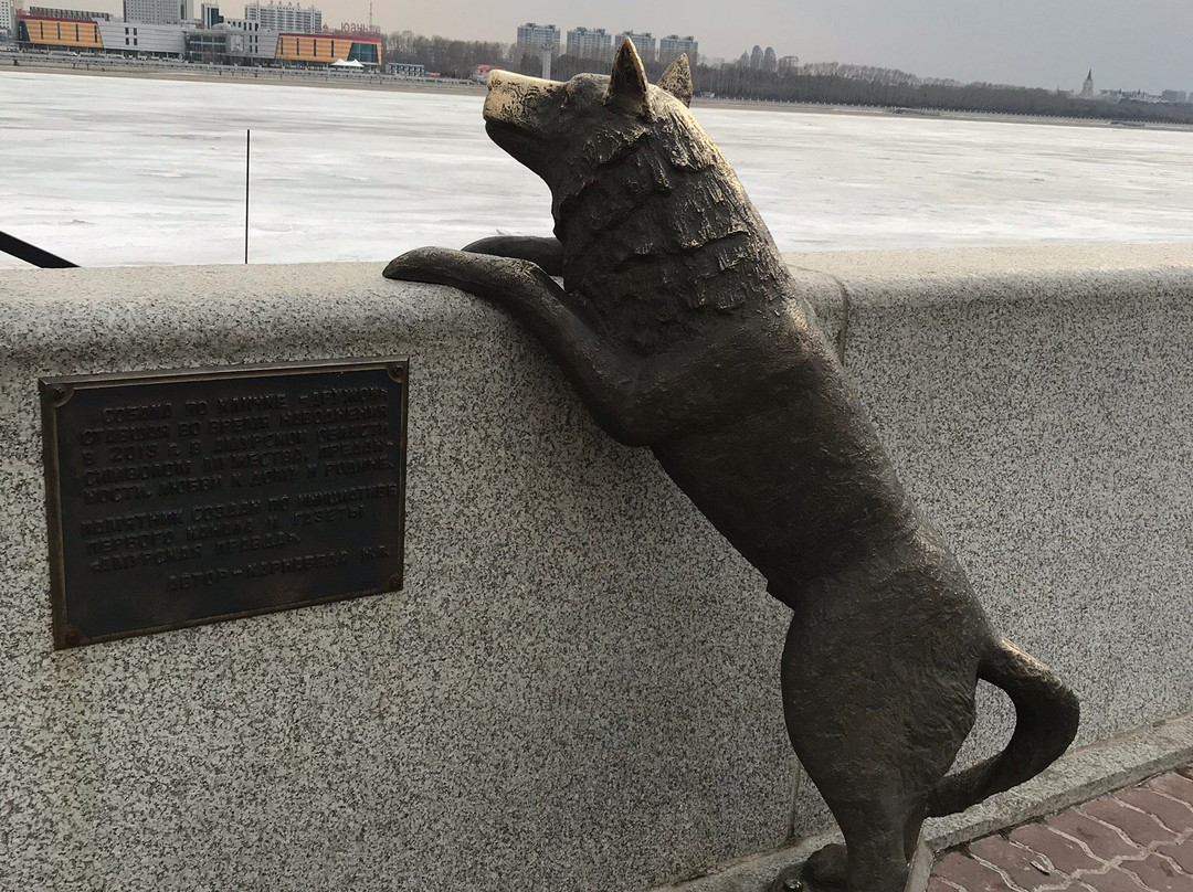 Monument Dog Named Druzhok景点图片