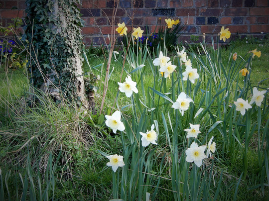 Hadlow Road Station-Willaston必去景点