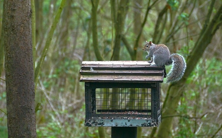 Moore Nature Reserve-沃灵顿必去景点