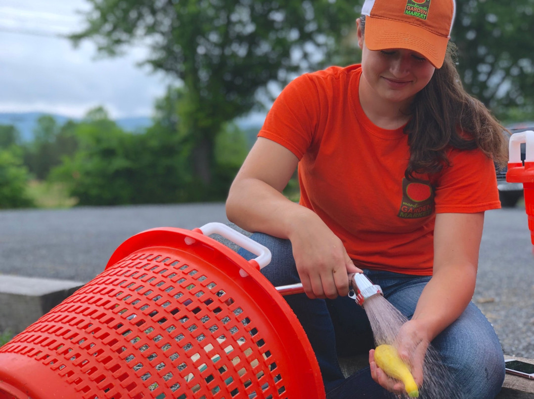 Wardensville Garden Market-Wardensville必去景点