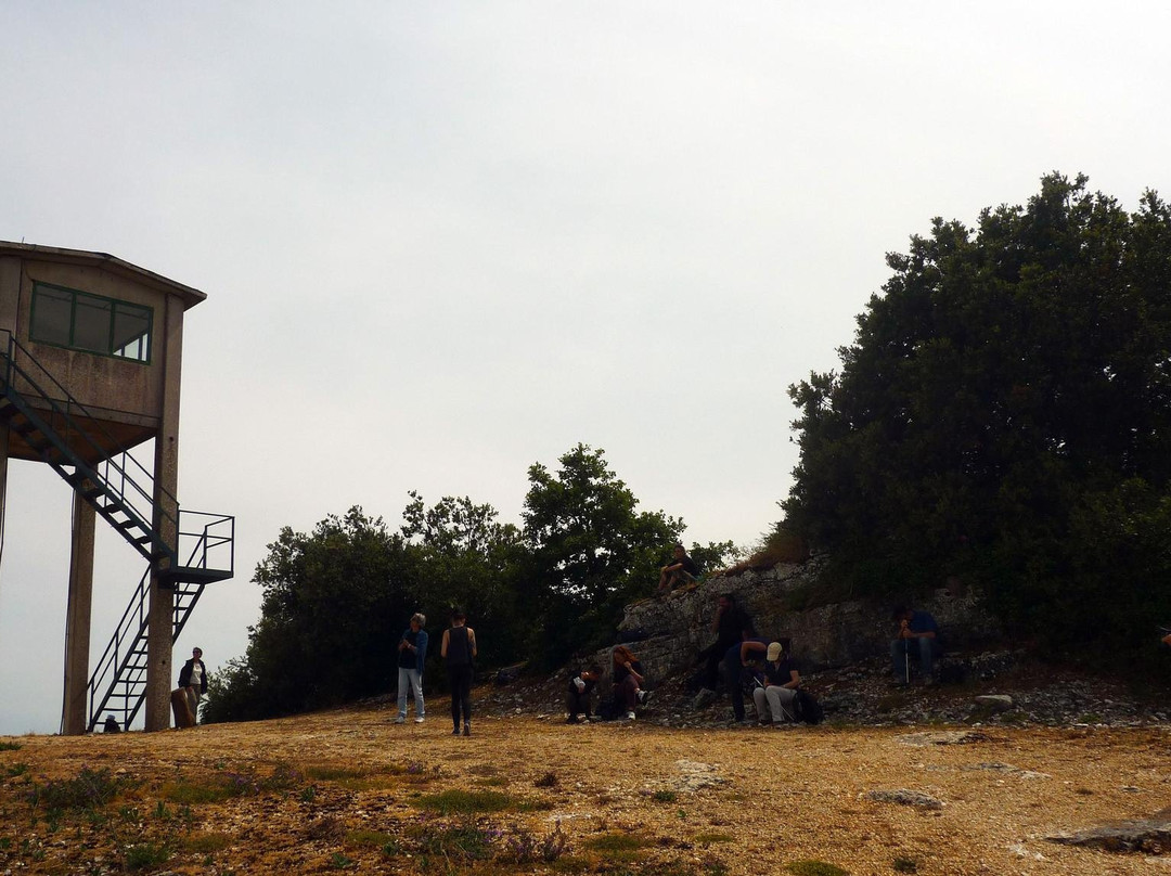 VacuaMoenia - Passeggiare in ascolto del paesaggio-巴勒莫必去景点