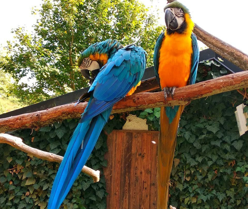 Tierpark Herborn-Herborn必去景点