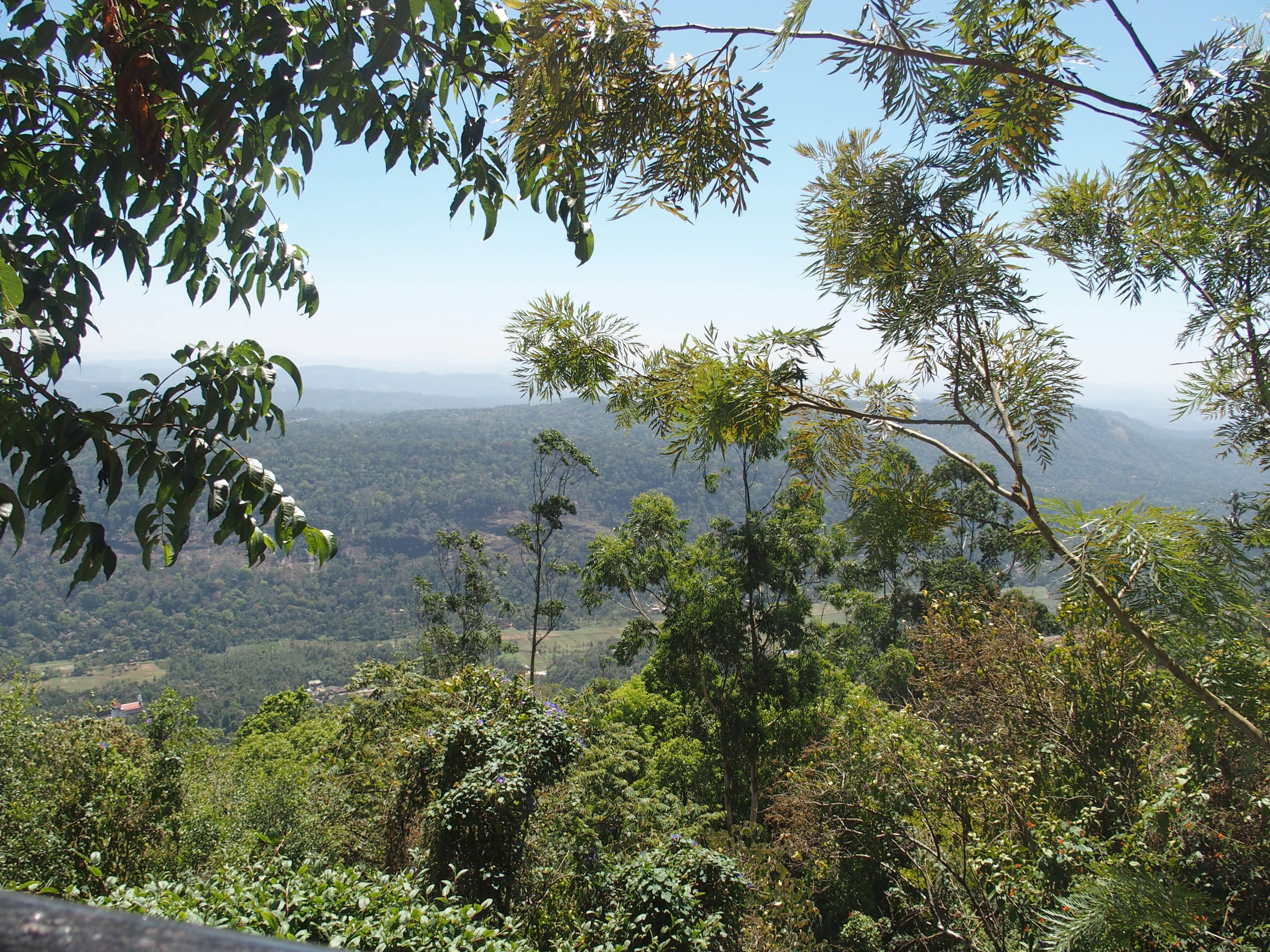 Mountain Trail Resort-酒店景观