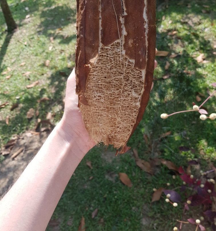 Na Tin Spicy Garden-奥南必去景点