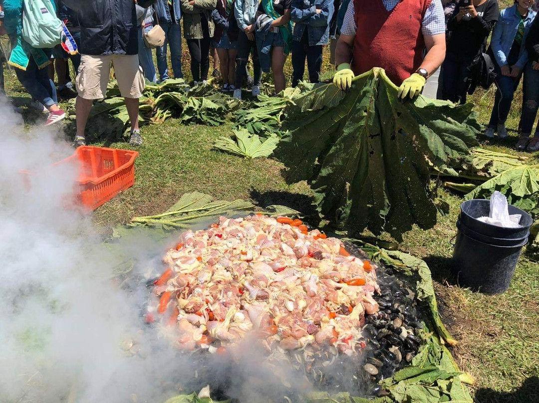 Eco Hospedaje Pinguineras主图