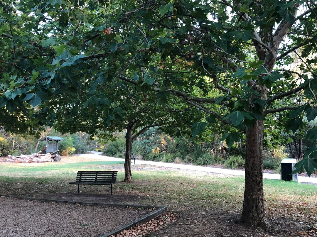 Drummond Street Playground景点图片