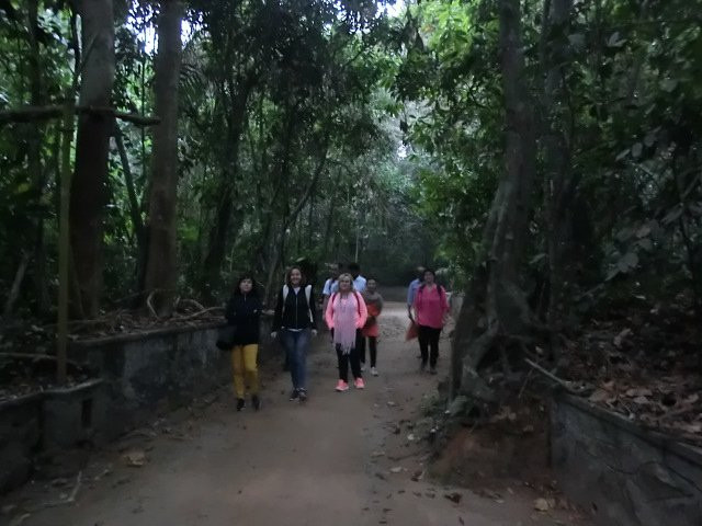 Iringole Forest Temple景点图片