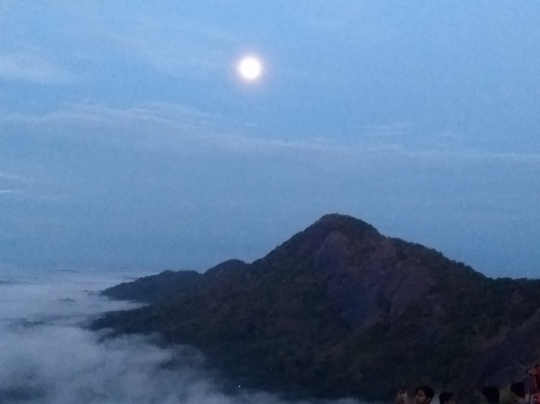 Holidays 2 Kerala - Private Day Tours景点图片