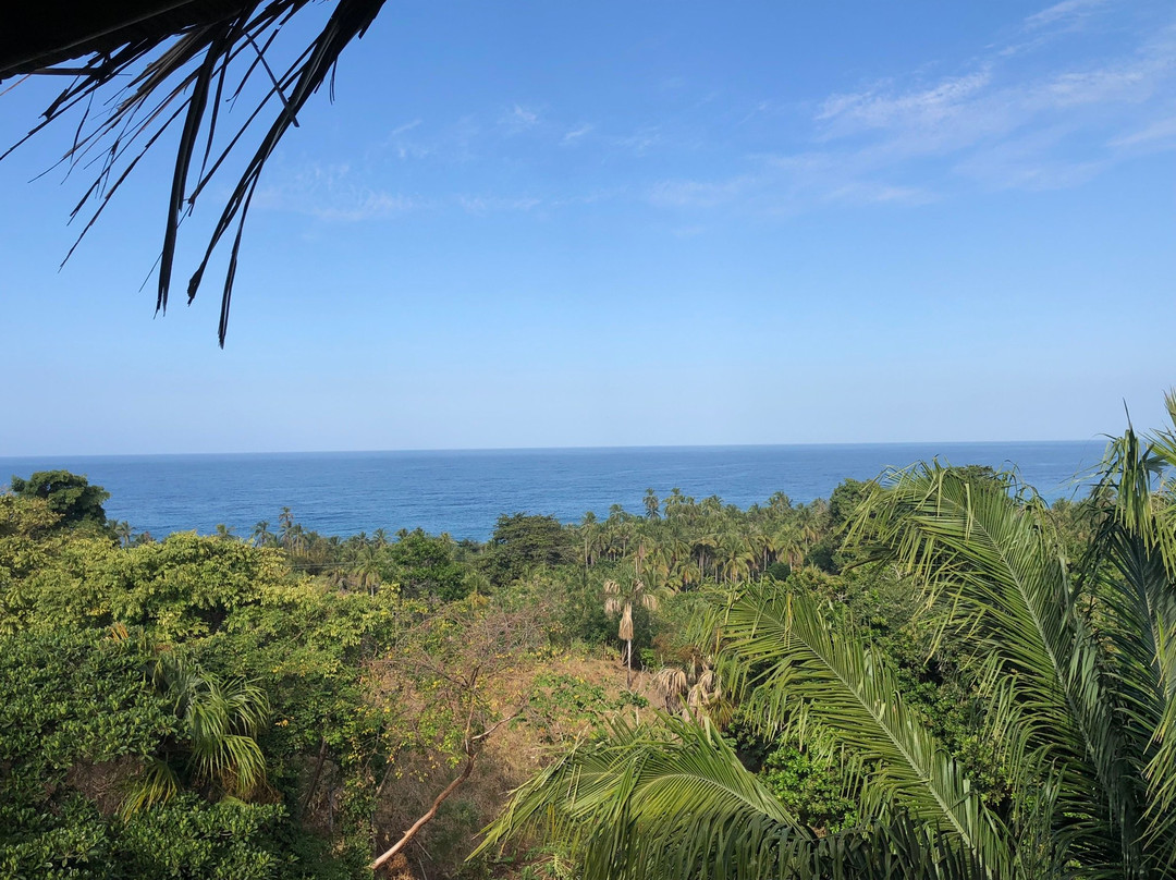 Villa Maria Tayrona, Jungle and Sea Experience主图